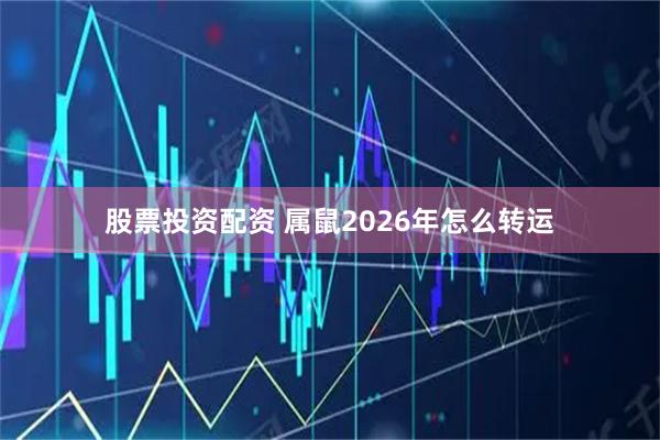 股票投资配资 属鼠2026年怎么转运